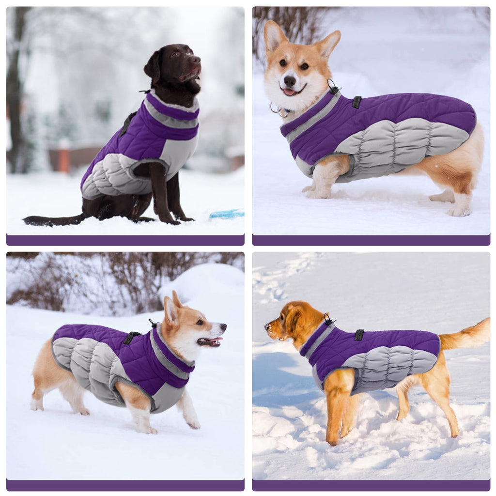 Kuoser Dog Winter Coat, Waterproof Windproof Fleece Padded Jacket with Reflective Trim and Leash Ring for Small Dogs, Purple, S