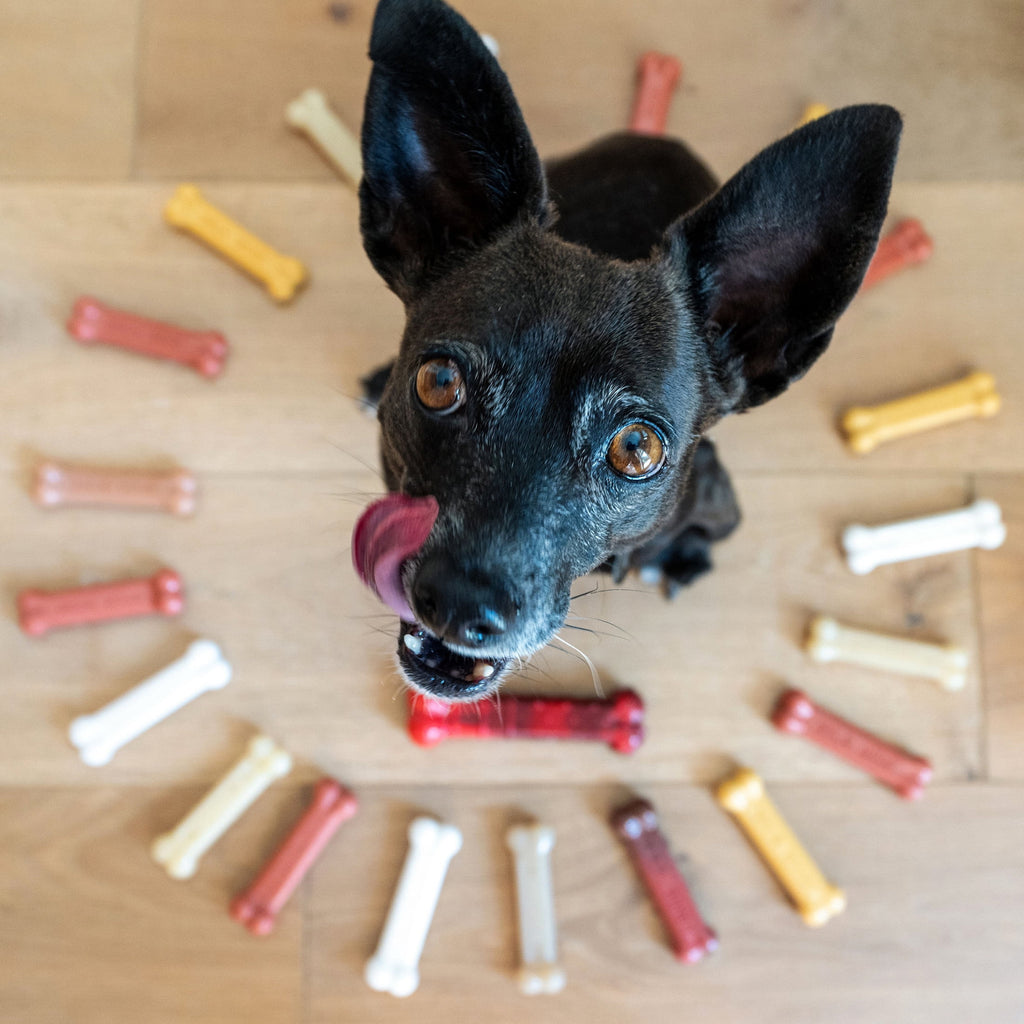 Nylabone Flavor Frenzy Power Chew Dry Dog Toy, Chili Cheese Dog, Popcorn & Cherry, SM, 3pk