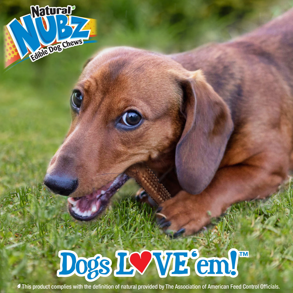 Nylabone Nubz Meaty Center Dog Treats for Small Dogs, Beef Flavor Dog Bones, Small - Up to 30 lbs., 20 Count