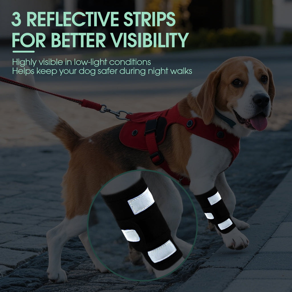 Kuoser Dog Front Leg Brace – Adjustable Carpal Support Wrap for Canine Joint, Wound Recovery & Anti-Licking Sleeve, Black, S/M