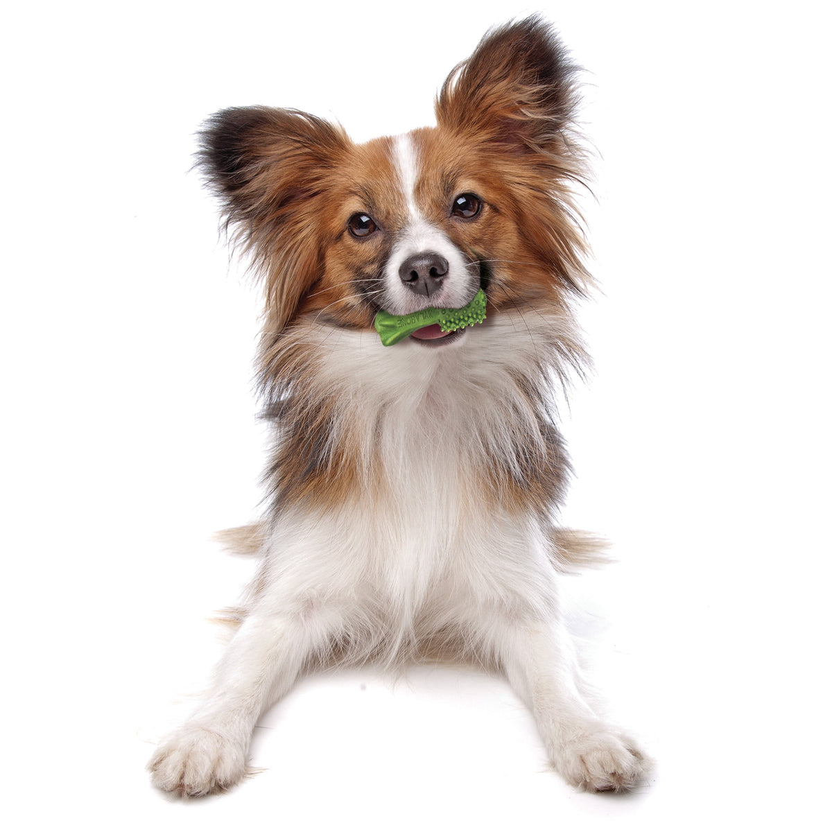 Nylabone Nutri Dent Natural Dental Chews for Dogs, Limited Ingredient Dog Treats, Teeth Cleaning Dental Sticks for Dogs, Fresh Breath Flavor, For X-Small Dogs (160 Count)