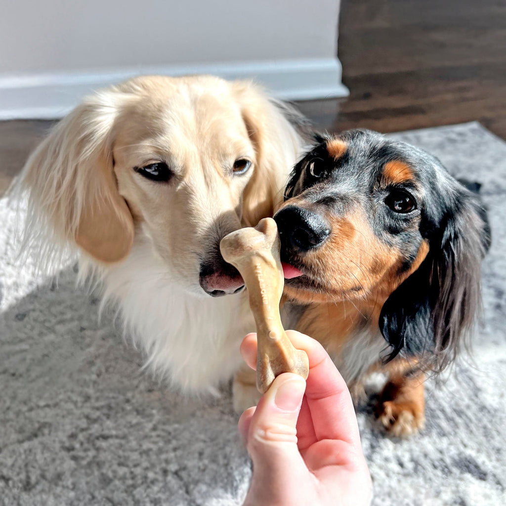 Nylabone Broth Bones Natural Dog Treats for Dogs, Bone Broth Dog Bones, Ham Flavor, For Large Dogs (1 Count)