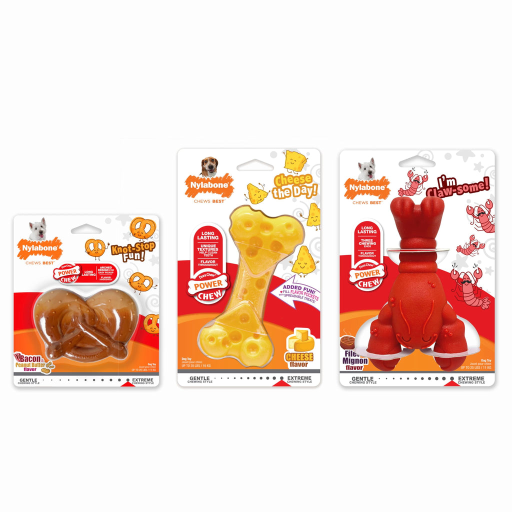 Nylabone Power Chew Toy Bundle, Cute Dog Toys for Aggressive Chewers, Filet Mignon, Cheese, and Bacon Flavors, Small Dogs - Up to 25 lbs, 3 Pack