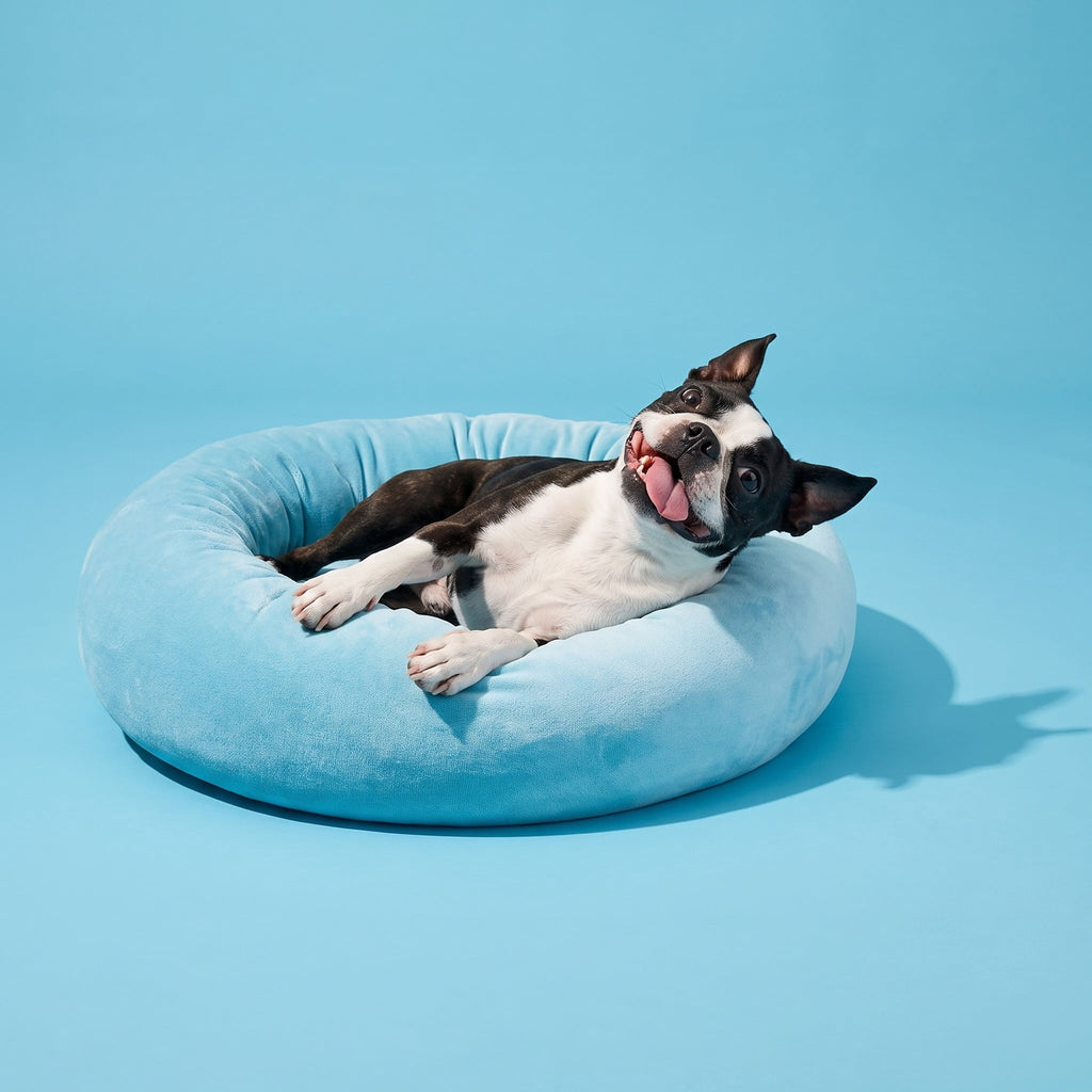 Vibrant Life Small Squishy Cuddler Pet Bed, Blue, 17 in