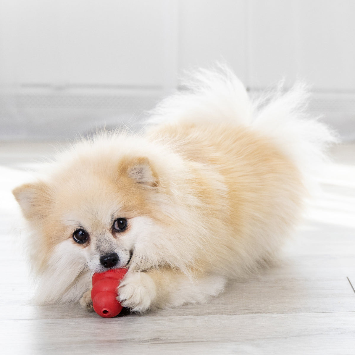 KONG® Classic Rubber Dog Toy for Average Chewers, Large, for Dogs Between 30-65 lbs