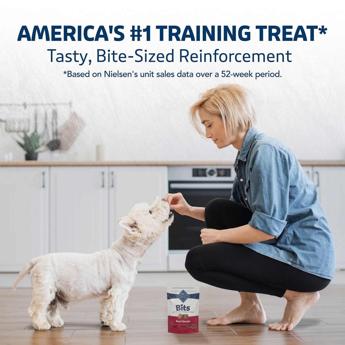 Blue Buffalo Bits Soft Dog Treats for Training, Made With Natural Ingredients & Enhanced with DHA, Beef Recipe, 19-oz Bag