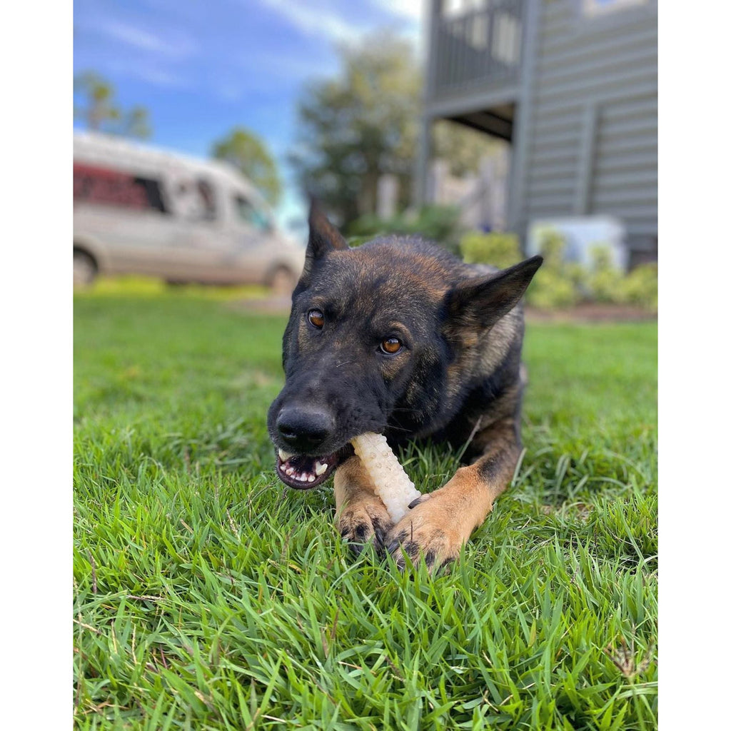 Nylabone Power Chew Textured Knuckle Bone Dog Toy, Dog Chew Toy, Chicken Flavor, X-Large, 1 Count