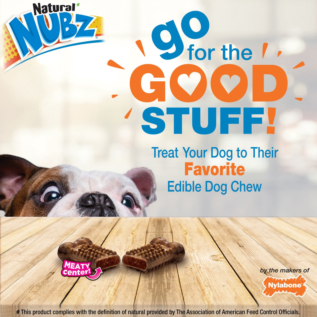 Nylabone Nubz Meaty Center Dog Treats for Small Dogs, Beef Flavor Dog Bones, Small - Up to 30 lbs., 20 Count
