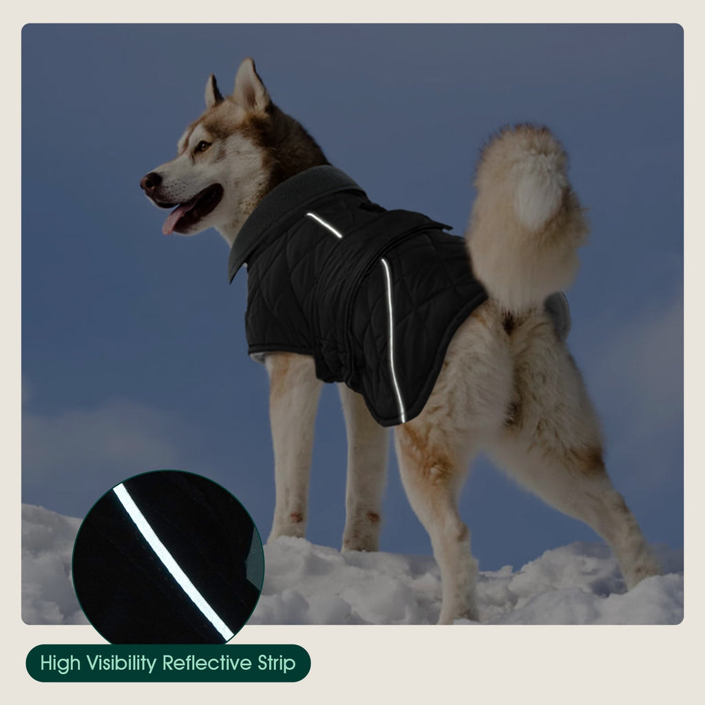 Kuoser Dog Coat Warm Dog Winter Jacket for Small Medium Large Dogs, Green, M