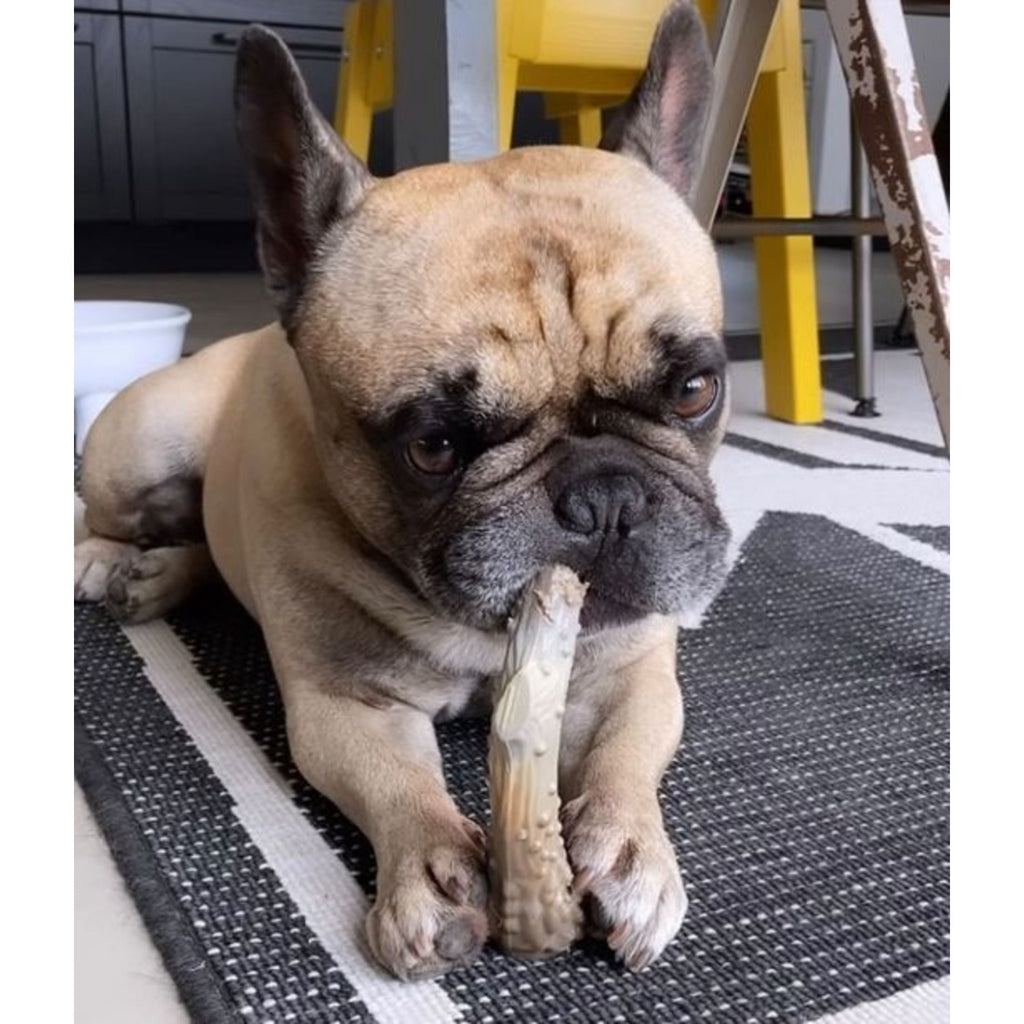 Nylabone Power Chew Antler Alternative Dog Chew Toy Venison Medium (1 Count)