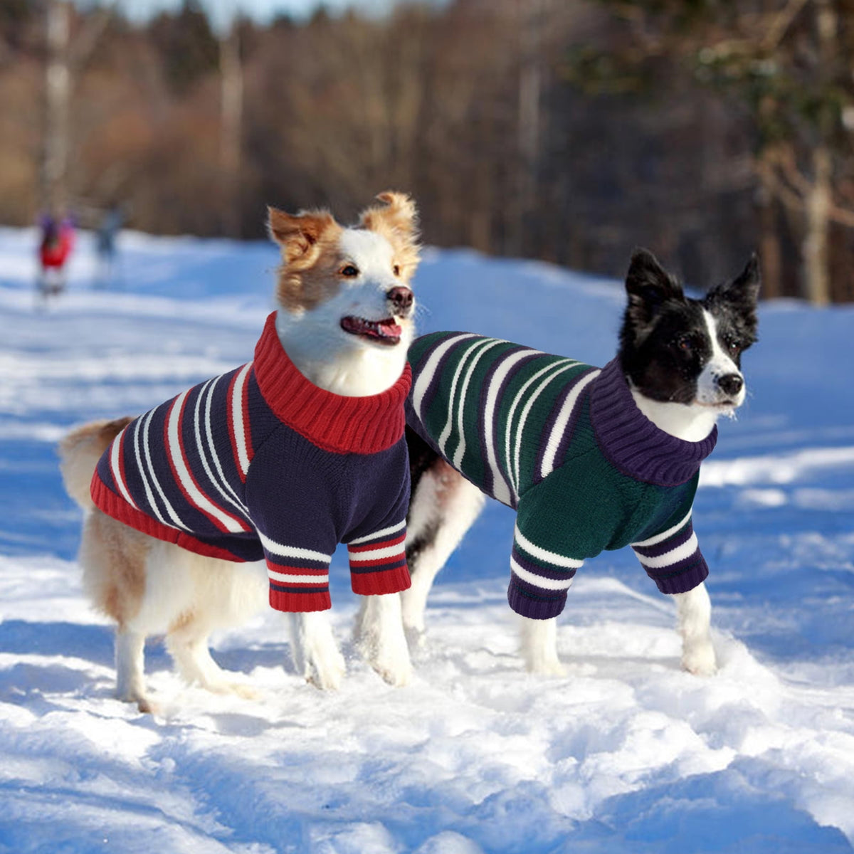 Kuoser Dog Cat Sweater Pet Warm Winter Clothes Knitwear for Dogs, Blue, M