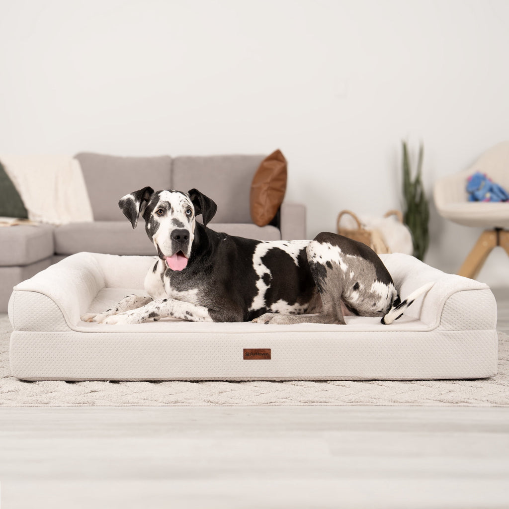 FurHaven Plush & Embossed Velvet Dreamer Orthopedic Sofa Pet Bed for Dogs and Cats - Cognac, Medium
