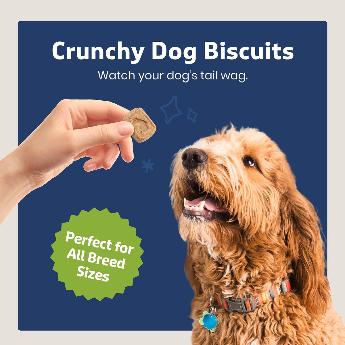 Blue Buffalo Health Bars Mini Dog Treats, Crunchy Biscuits, Apples & Yogurt, 40oz Tub