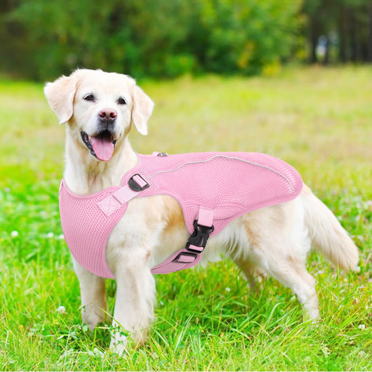 Kuoser Dog Cooling Vest, Breathable Mesh Ice Vest for Dogs, Cooling Jacket for Pet, Blue, extra large