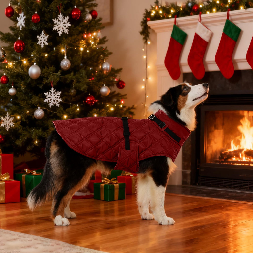 Kuoser Dog Winter Coat Warm Reflective Pet Jacket Waterproof Cold Weather Clothes for Dogs, Gray, M