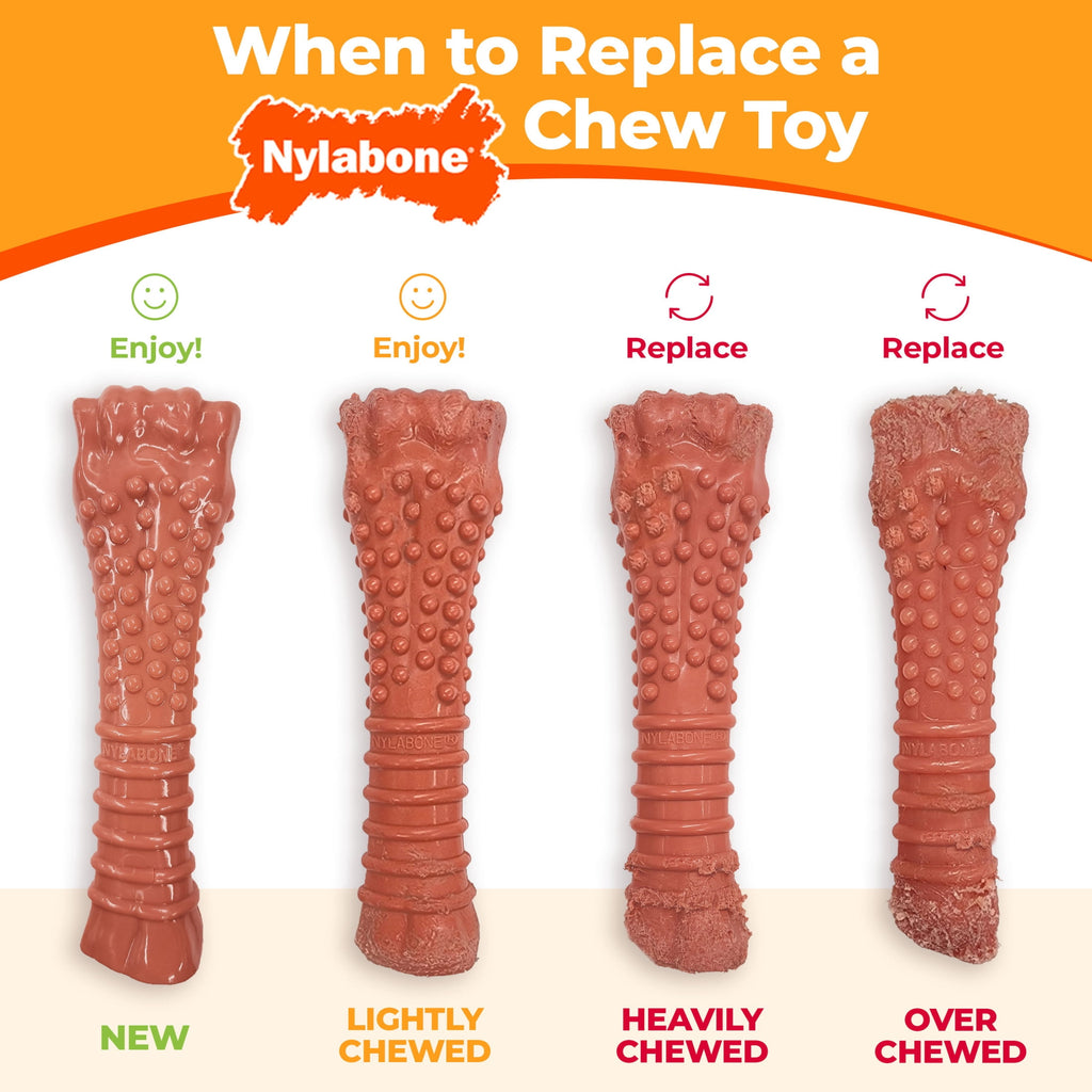 Nylabone Power Chew Knuckle Bone Pop-In Dog Treat Toy, Dog Toy, Chicken Flavor, Medium