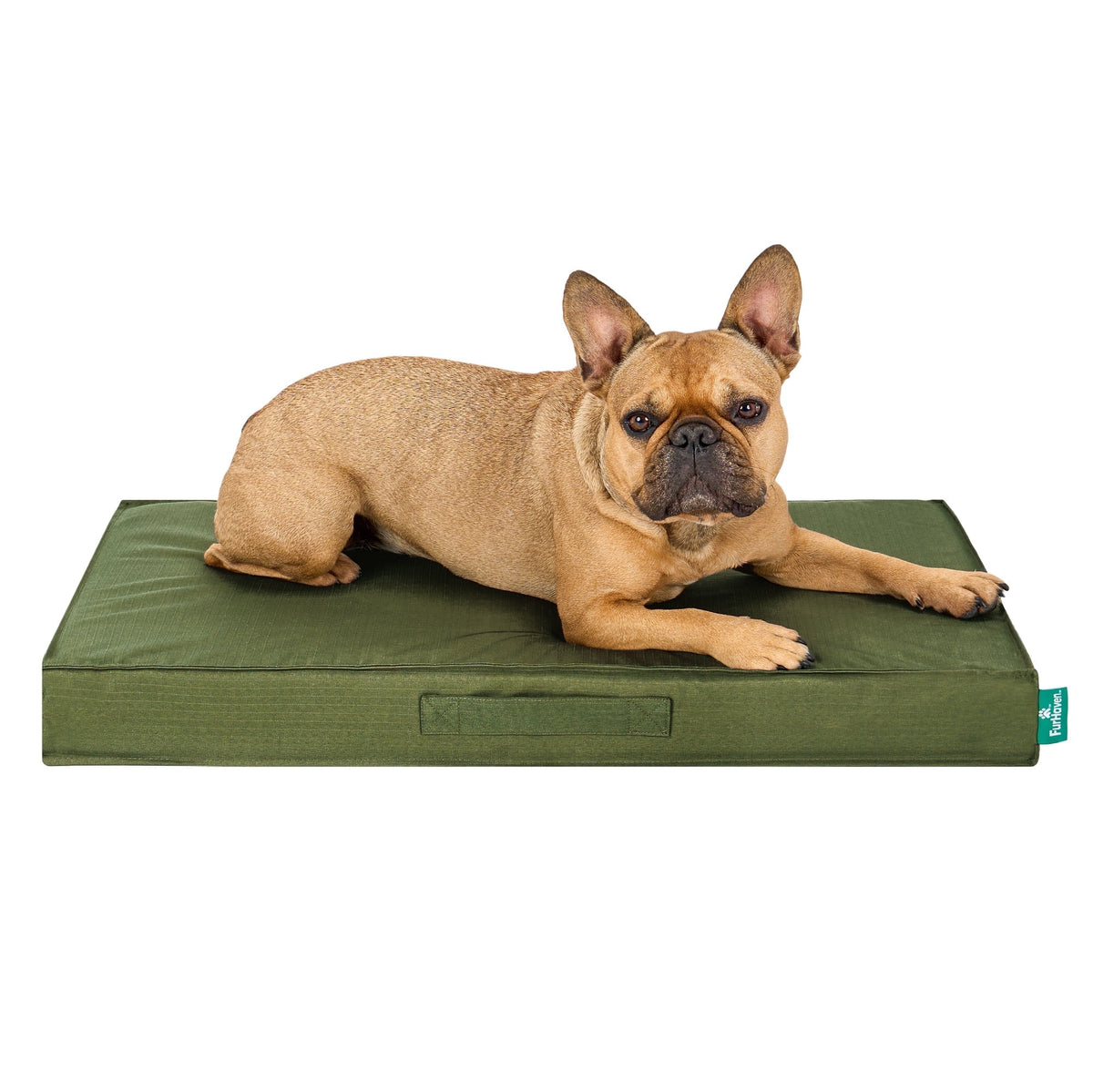 FurHaven Grid Indoor-Outdoor Cooling Memory Foam Deluxe Mattress for Dogs and Cats - Olivine, Medium