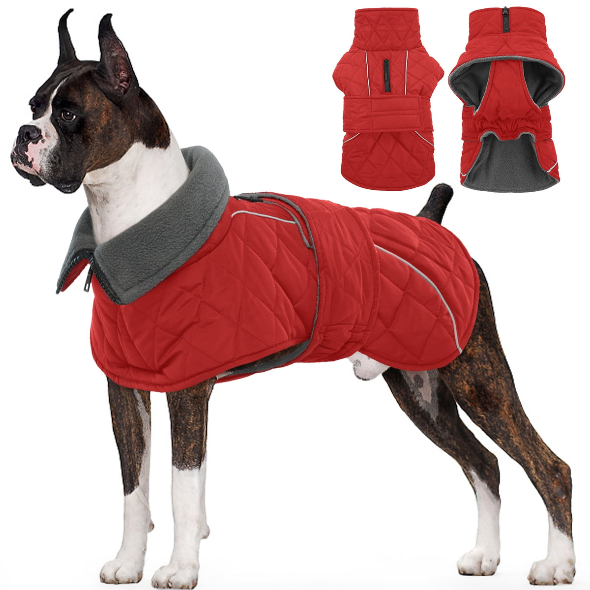 Kuoser Dog Coat Warm Dog Winter Jacket for Small Medium Large Dogs, Green, M