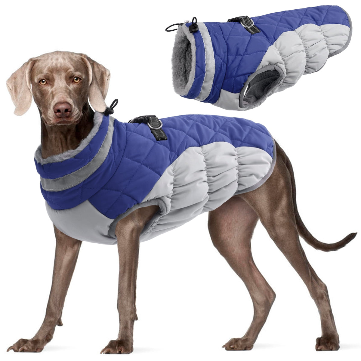 Kuoser Dog Winter Coat, Waterproof Windproof Fleece Padded Jacket with Reflective Trim and Leash Ring for Small Dogs, Purple, S