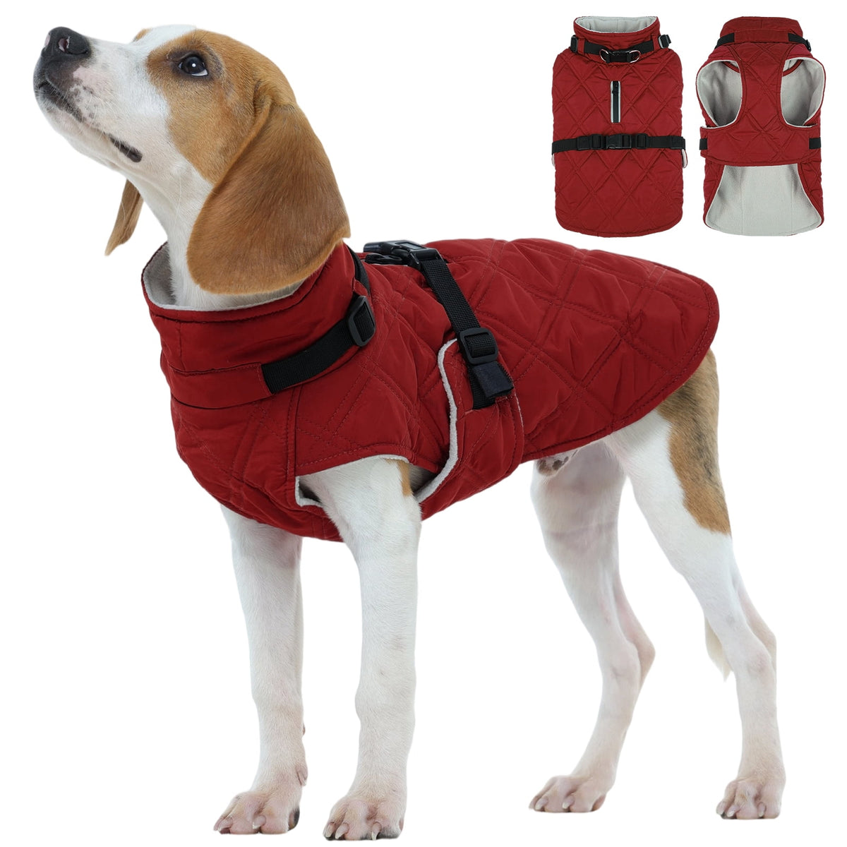 Kuoser Dog Winter Coat Warm Reflective Pet Jacket Waterproof Cold Weather Clothes for Dogs, Gray, M