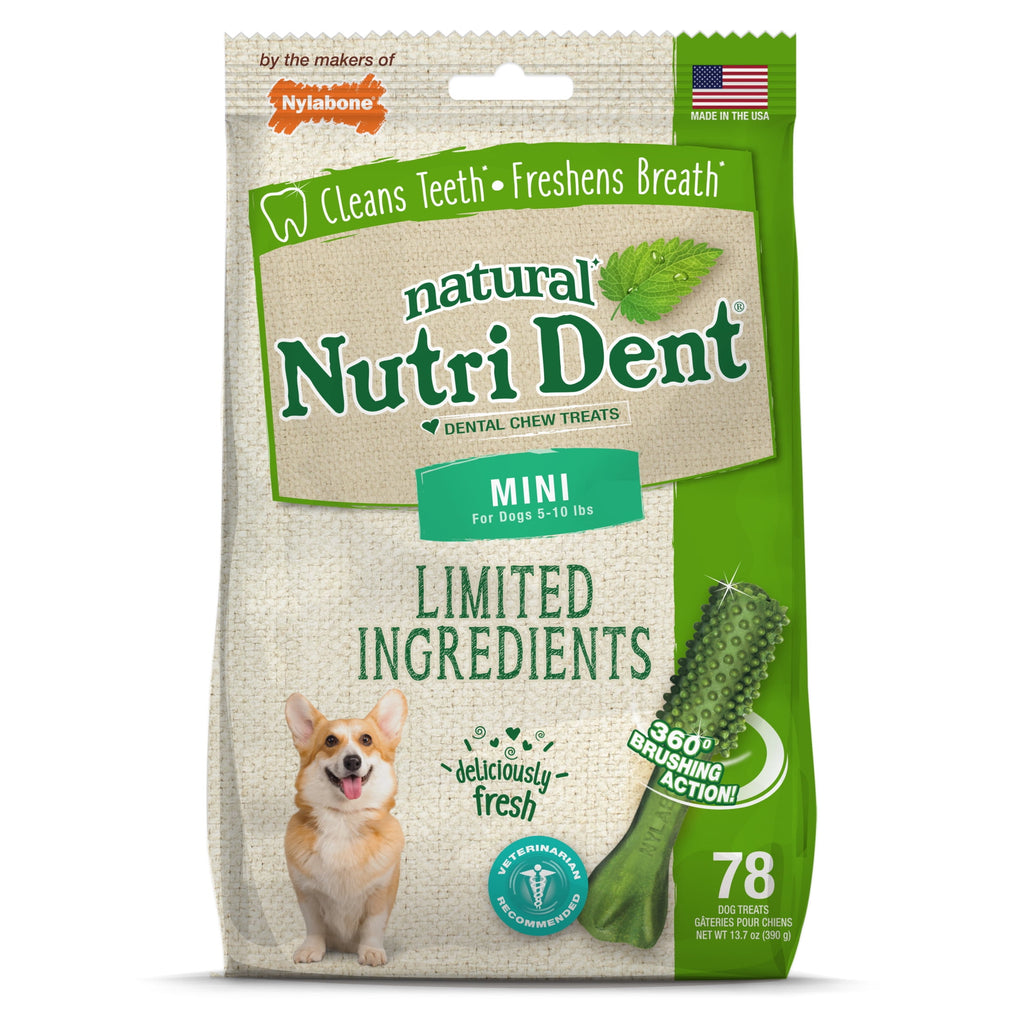 Nylabone Nutri Dent Natural Dental Chews for Dogs, Limited Ingredient Dog Treats, Teeth Cleaning Dental Sticks for Dogs, Fresh Breath Flavor, For X-Small Dogs (78 Count)