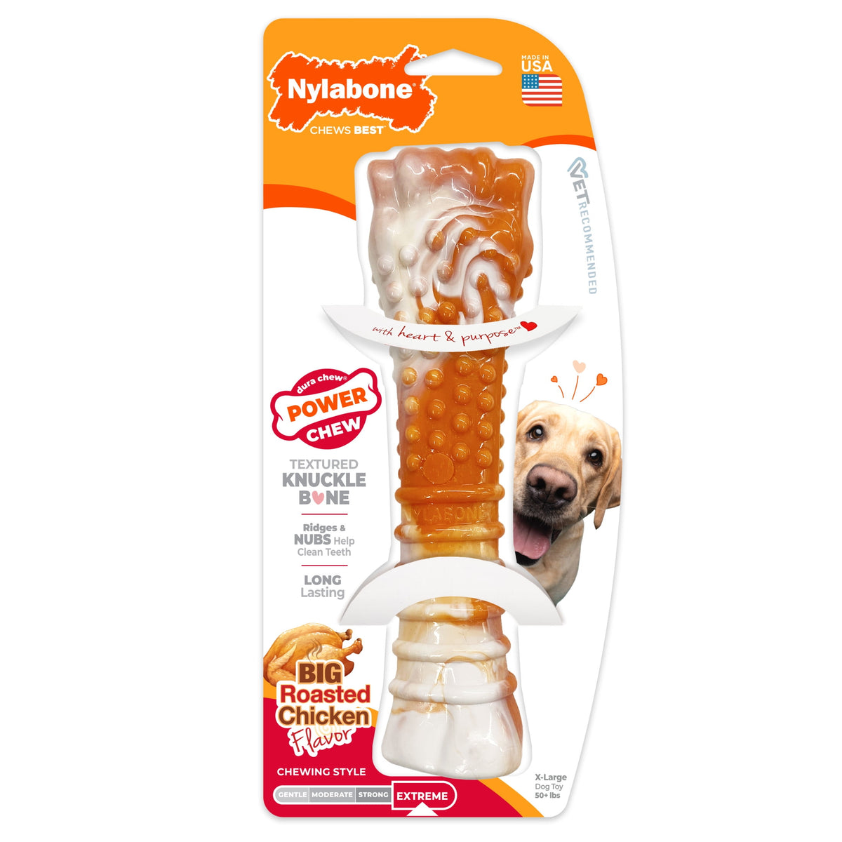 Nylabone Power Chew 70th Birthday Textured Bone Dog Toy, Dog Chew Toy, Chicken Flavor, Medium, 1 Count