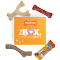 Nylabone Dog Toy Gift Box, Includes 3 Dog Chew Toys and 1 Dog Treat, Small Dogs, 4 Pack