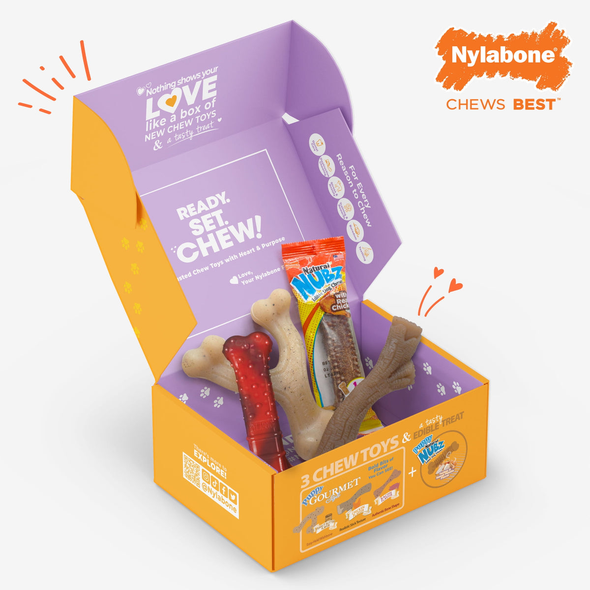 Nylabone Dog Toy Gift Box, Includes 3 Dog Chew Toys and 1 Dog Treat, Small Dogs, 4 Pack