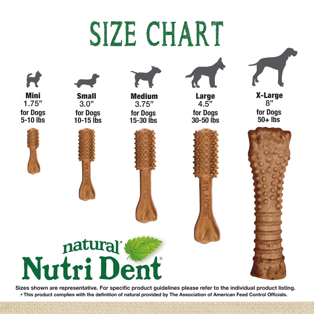 Nylabone Nutri Dent Natural Dental Chews for Dogs, Limited Ingredient Dog Treats, Teeth Cleaning Dental Sticks for Dogs, Filet Mignon Flavor, For Medium Dogs (40 Count)