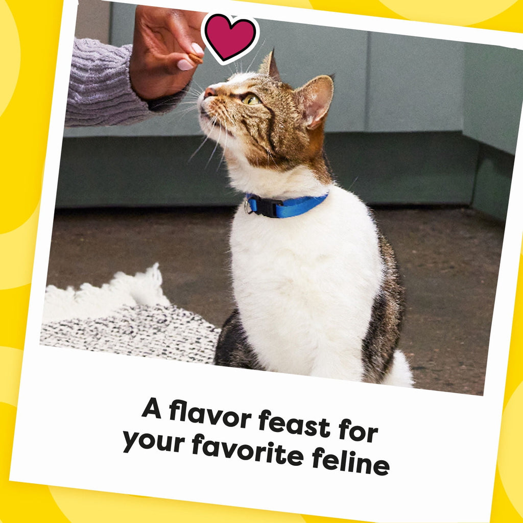 Temptations Mixups Catnip Fever Flavor Crunchy And Soft Treats For Cats, 6.3 Oz Pouch