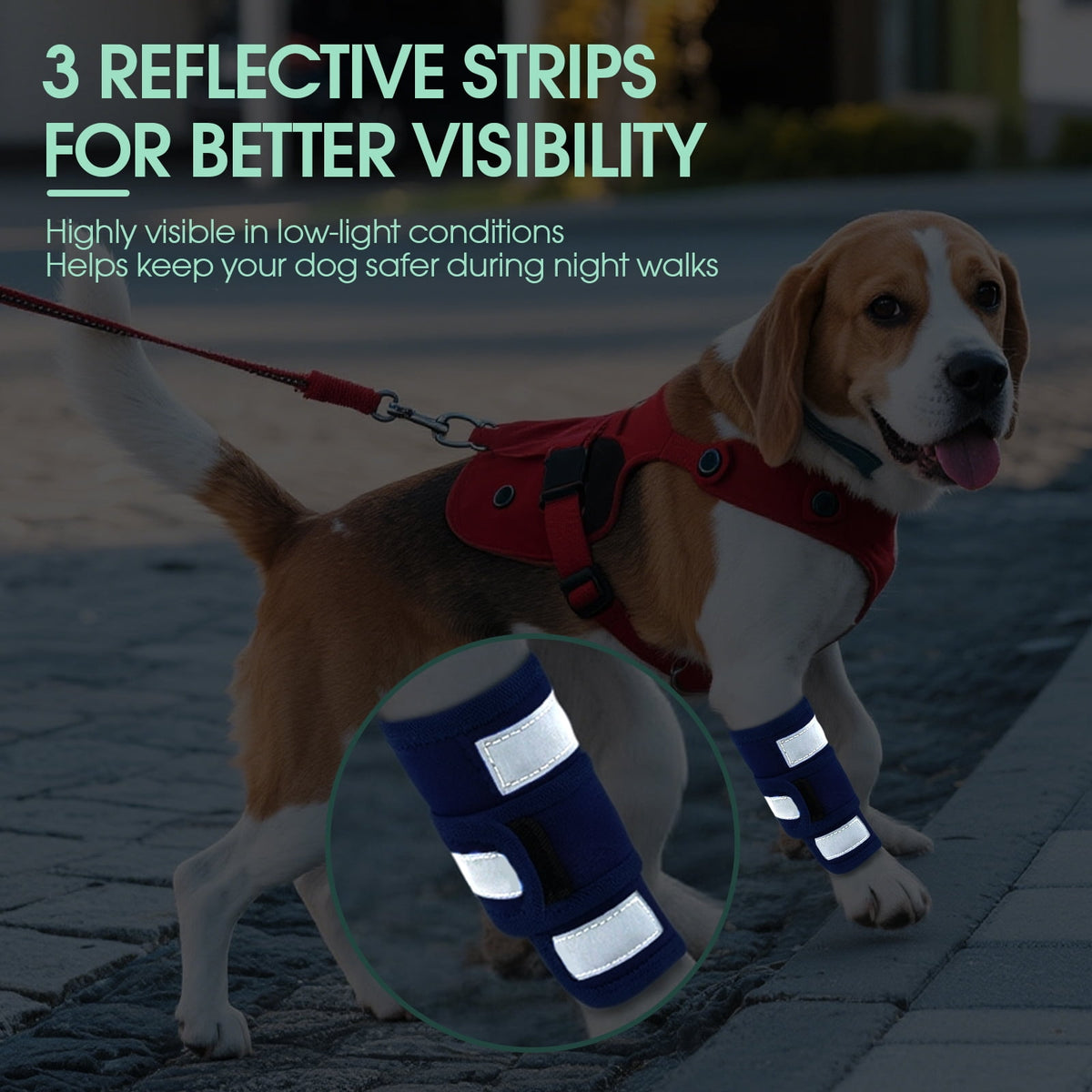 Kuoser Dog Front Leg Brace – Adjustable Carpal Support Wrap for Canine Joint, Wound Recovery & Anti-Licking Sleeve, Black, S/M