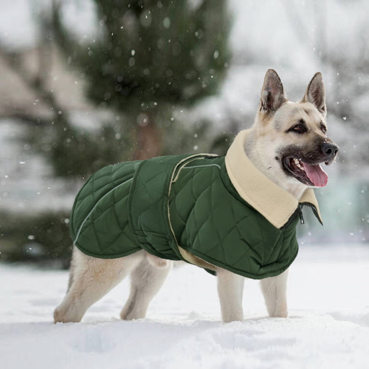 Kuoser Dog Coat Warm Dog Winter Jacket for Small Medium Large Dogs, Green, M