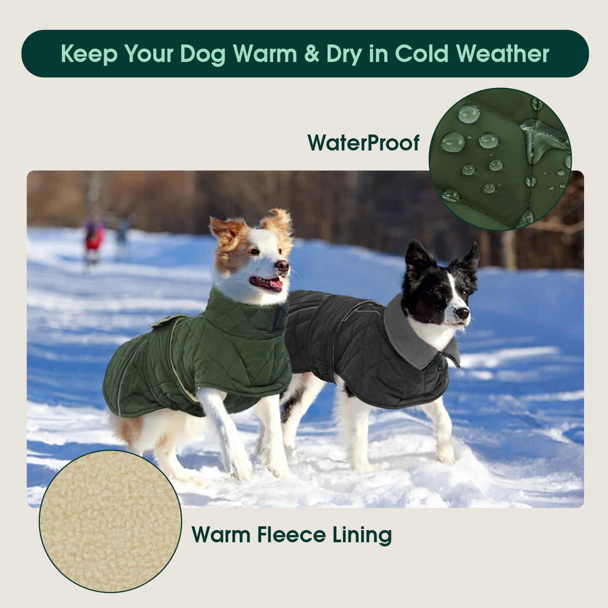 Kuoser Dog Coat Warm Dog Winter Jacket for Small Medium Large Dogs, Green, M