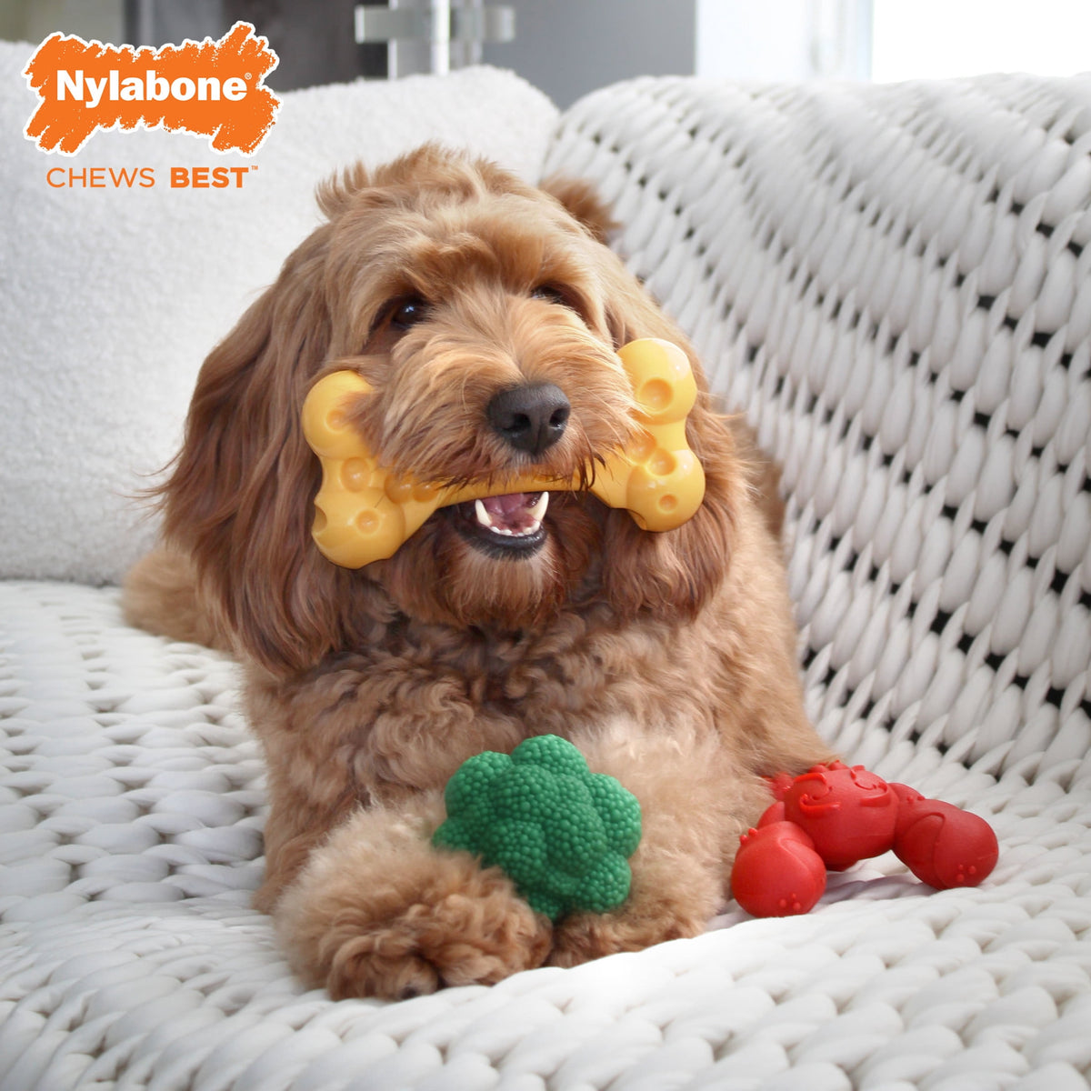 Nylabone Power Chew Toy Bundle, Cute Dog Toys for Aggressive Chewers, Filet Mignon, Cheese, and Bacon Flavors, Small Dogs - Up to 25 lbs, 3 Pack
