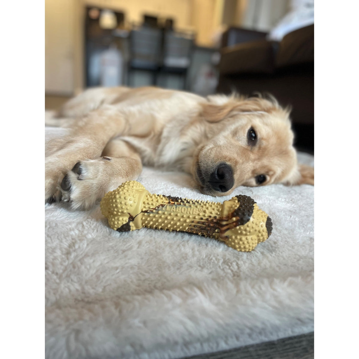 Nylabone Strong Chew Double Action Bone Dog Toy, Dog Chew Toy, Steak & Potato Flavor, Large, 1 Count