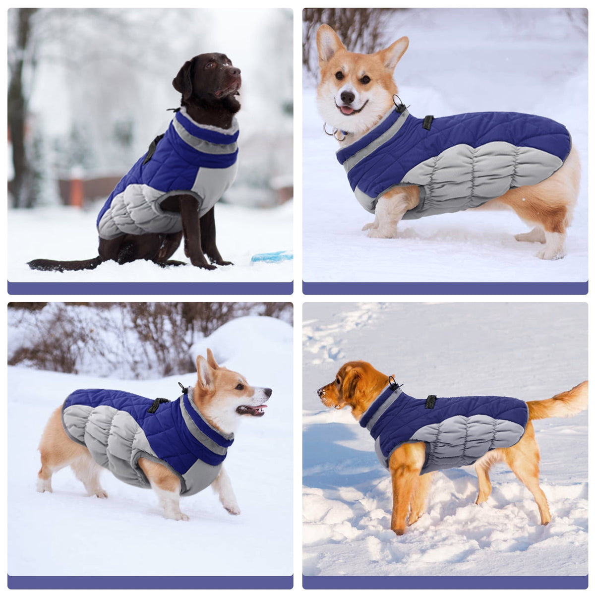 Kuoser Dog Winter Coat, Waterproof Windproof Fleece Padded Jacket with Reflective Trim and Leash Ring for Small Dogs, Purple, S