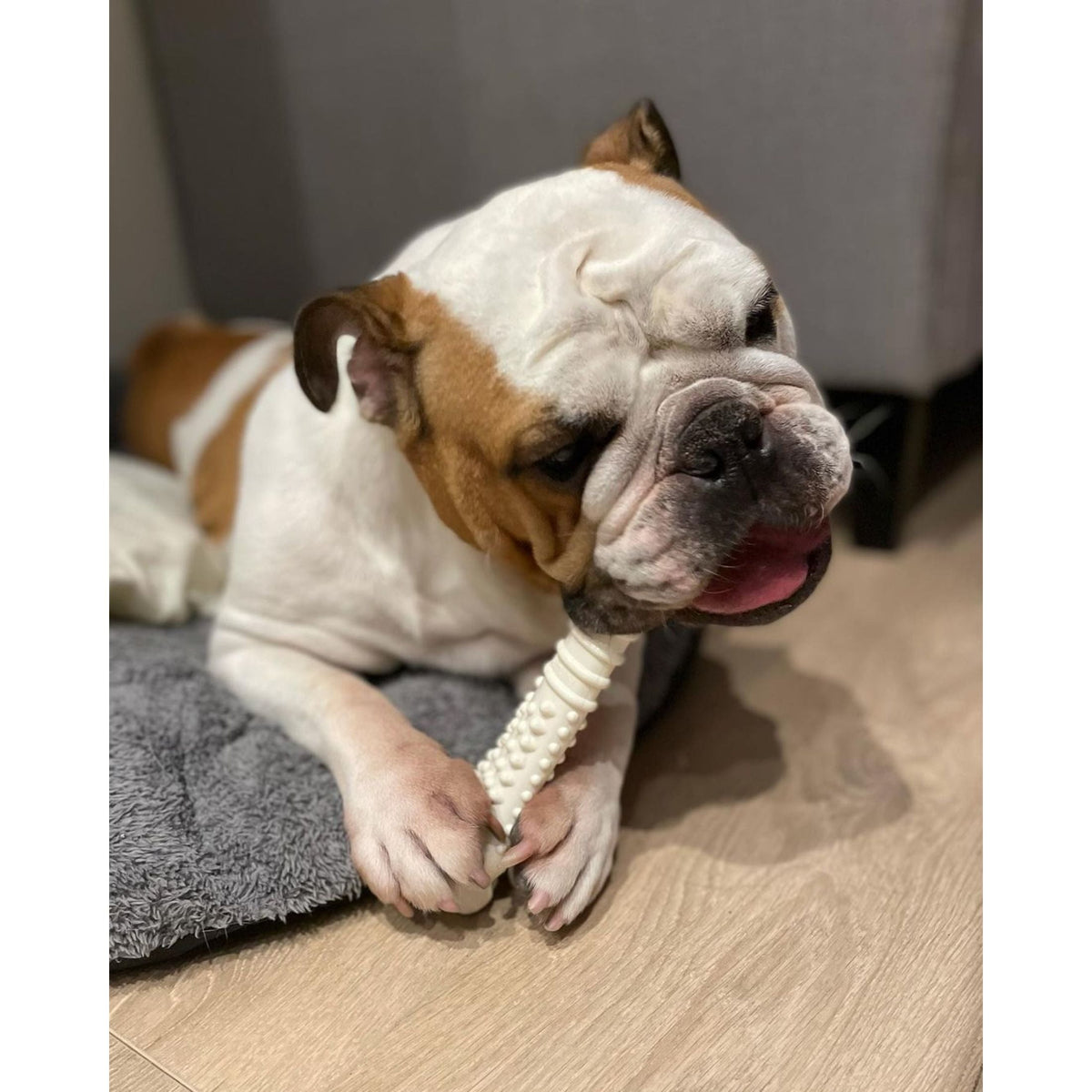 Nylabone Power Chew Textured Knuckle Bone Dog Toy, Dog Chew Toy, Chicken Flavor, X-Large, 1 Count