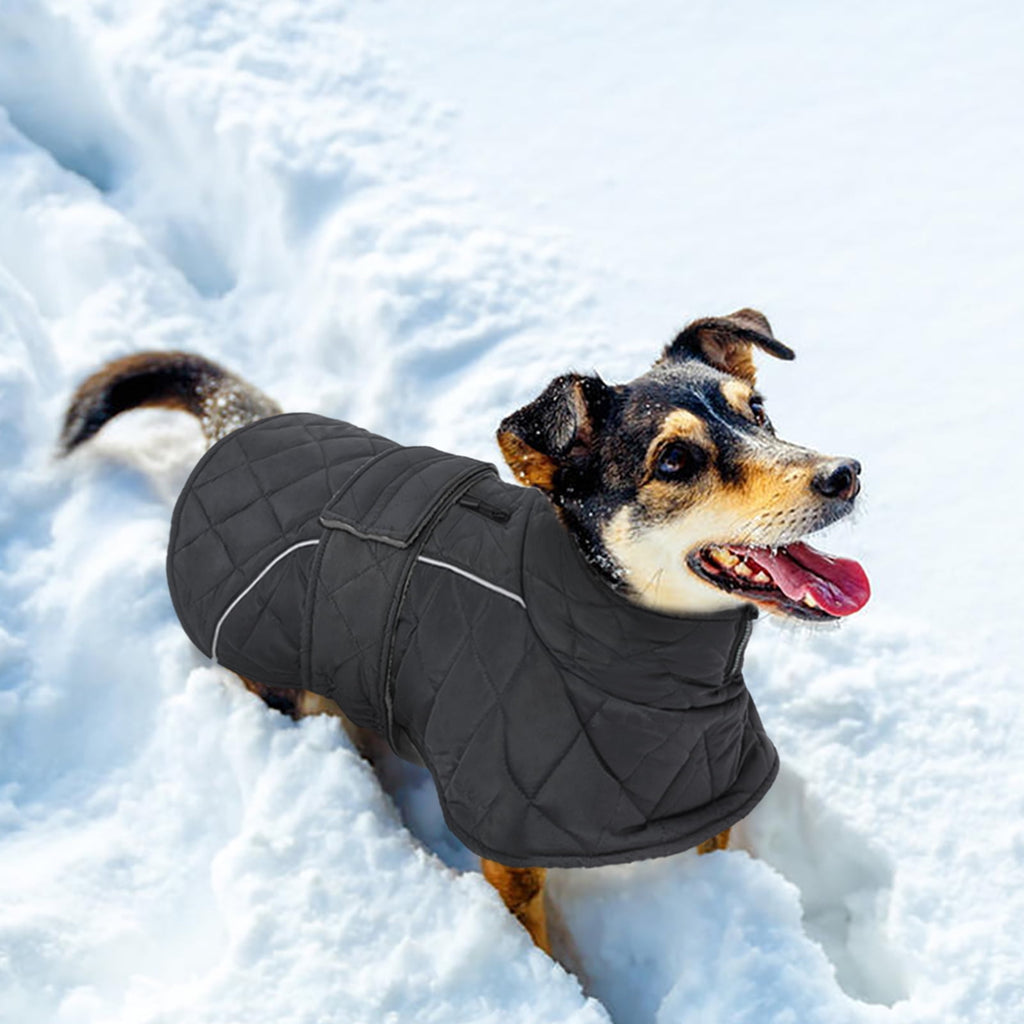 Kuoser Dog Coat Warm Dog Winter Jacket for Small Medium Large Dogs, Green, M