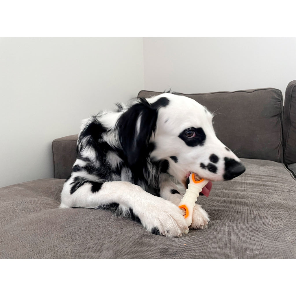 Nylabone Pop-In Treat Toy Dog Treat Refills, Natural Dog Biscuits, Chicken Flavor, 30 Count