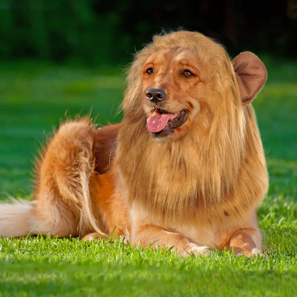 Kuoser Large Dog Lion Mane with Tail Halloween Dog Costumes Fits Neck Size 13- 29.13 inch Funny Accessories for Holidays