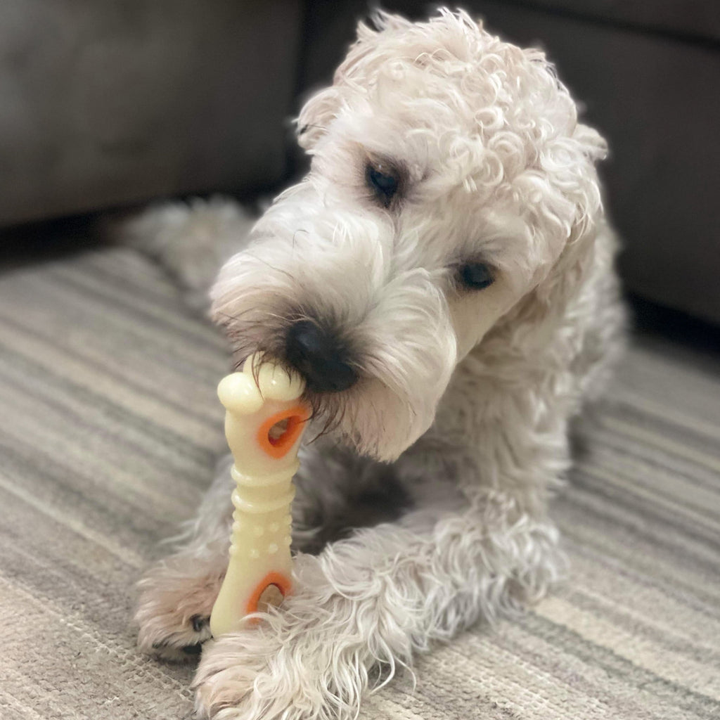 Nylabone Power Chew Knuckle Bone Pop-In Dog Treat Toy, Dog Toy, Chicken Flavor, Medium