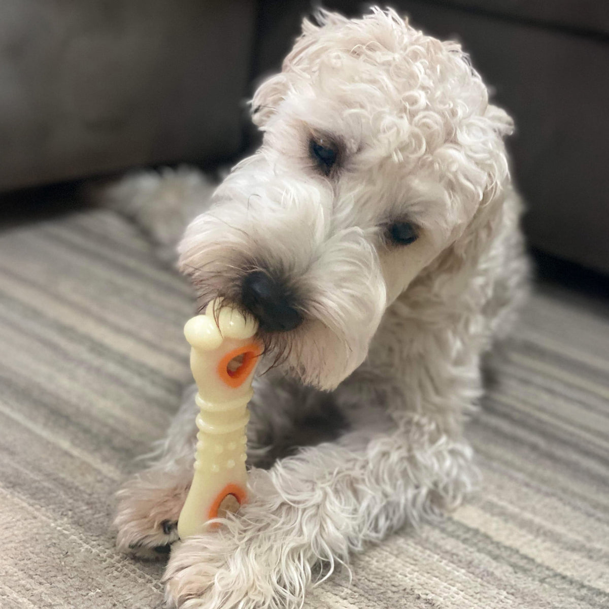 Nylabone Power Chew Knuckle Bone Pop-In Dog Treat Toy, Dog Toy, Chicken Flavor, Medium