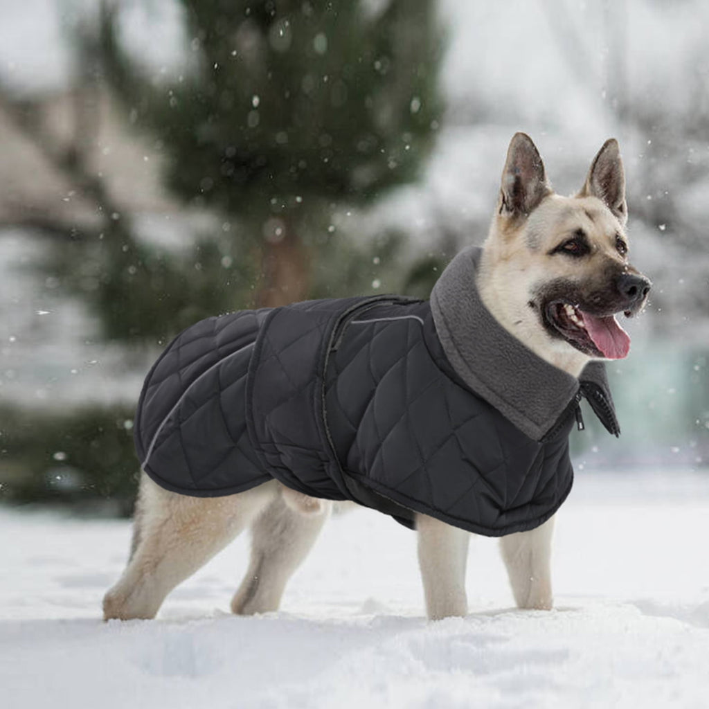 Kuoser Dog Coat Warm Dog Winter Jacket for Small Medium Large Dogs, Green, M
