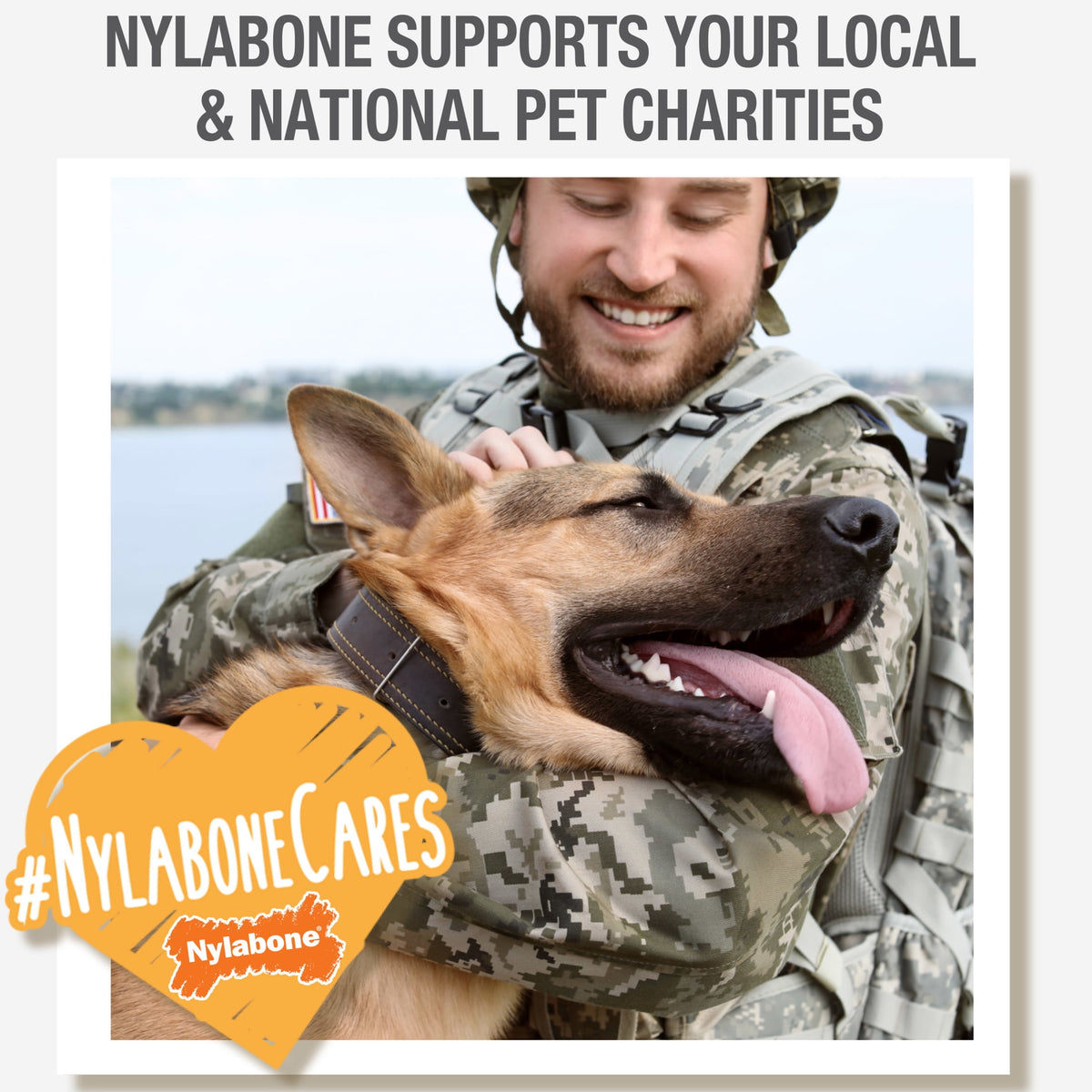Nylabone Nubz Wild Dog Treats for Small Dogs, Bison Flavor Dog Bones, Small - Up to 25 lbs., 4 Count