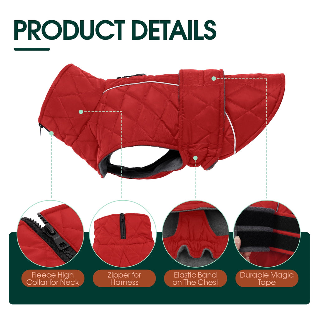 Kuoser Dog Coat Warm Dog Winter Jacket for Small Medium Large Dogs, Green, M