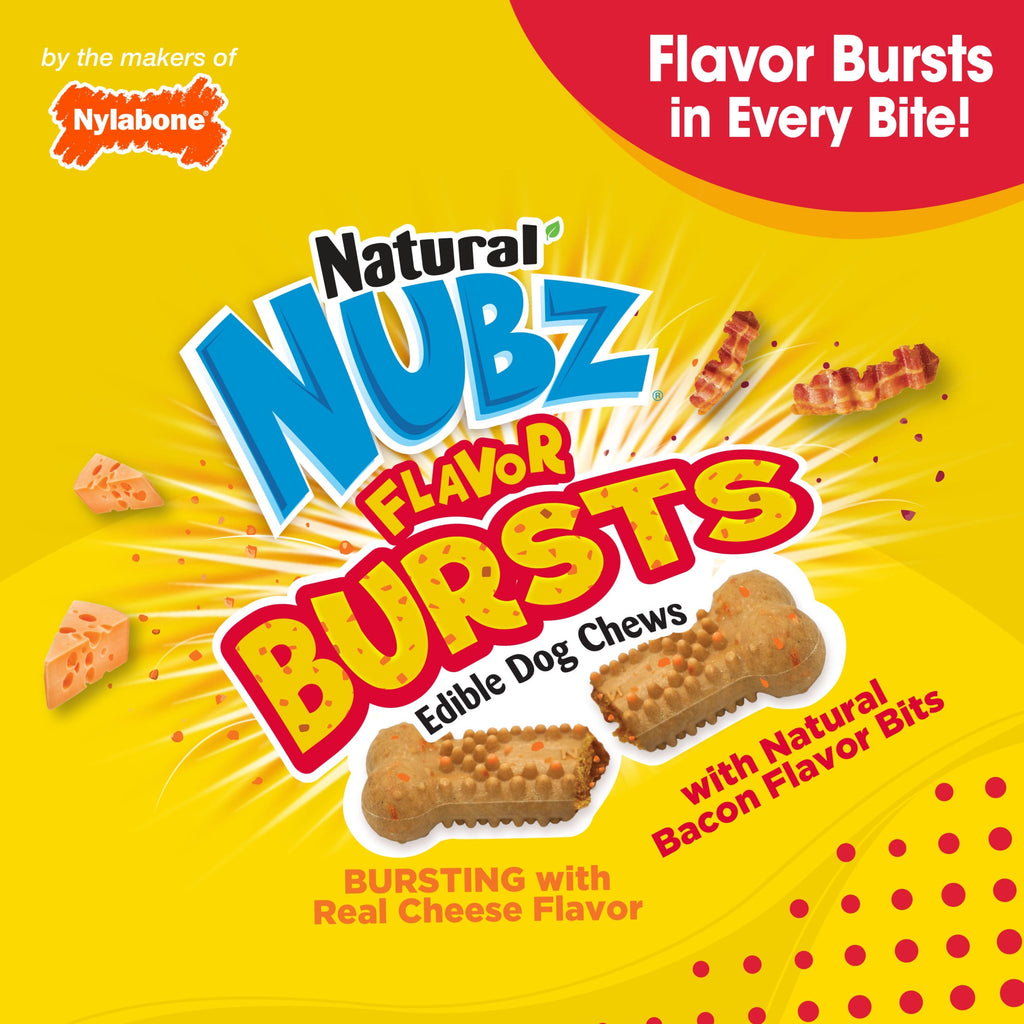 Nylabone Nubz Flavor Bursts Natural Dog Treats for Large Dogs, Bacon & Cheese Flavor Dog Bones, Large - 30+ lbs., 20 Count