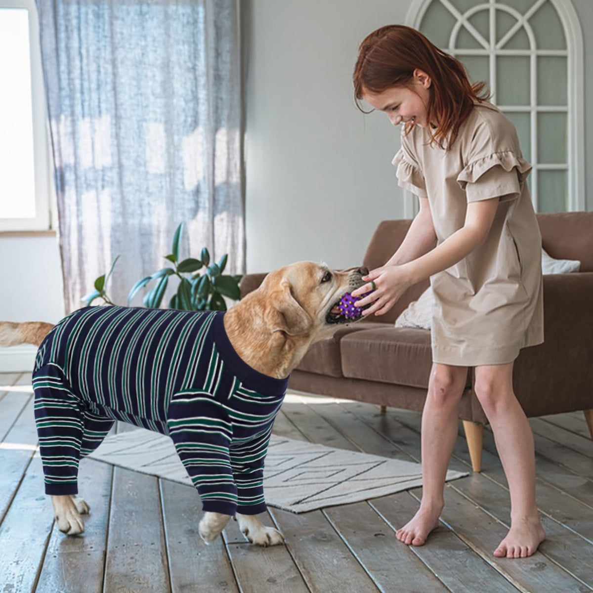 Kuoser Dog Recovery Suit Long Sleeve Dog Onesie after Surgery, Navy Blue, M
