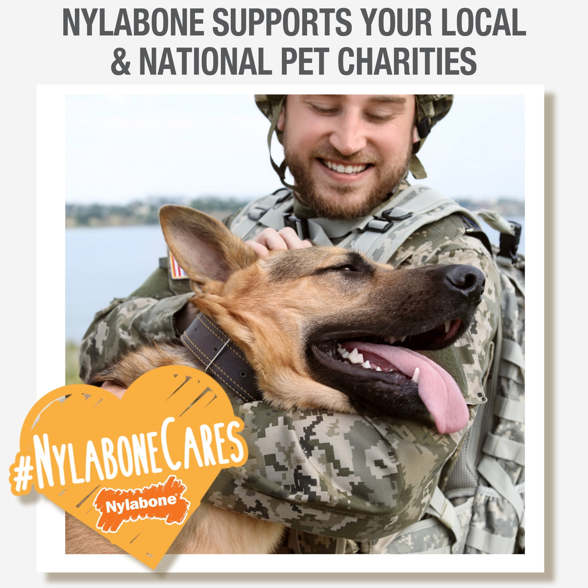 Nylabone Nubz Meaty Center Dog Treats for Small Dogs, Beef Flavor Dog Bones, Small - Up to 30 lbs., 20 Count