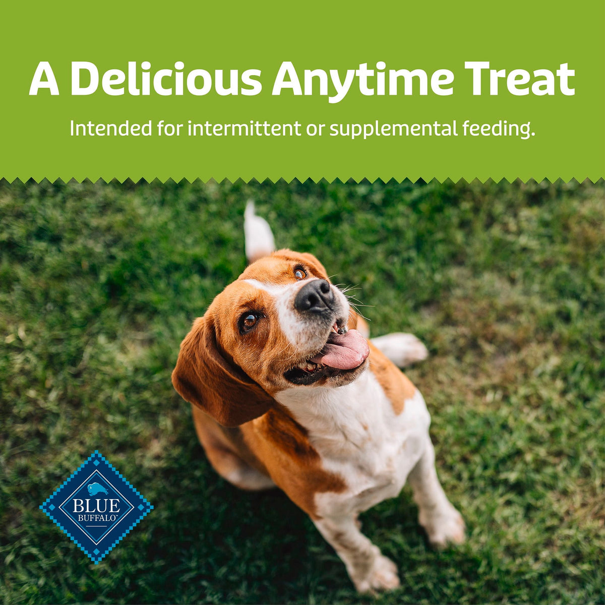 Blue Buffalo Soft & Chewy Health Bars Baked with Real Chicken & Apples, Dog Treats, 9 oz.