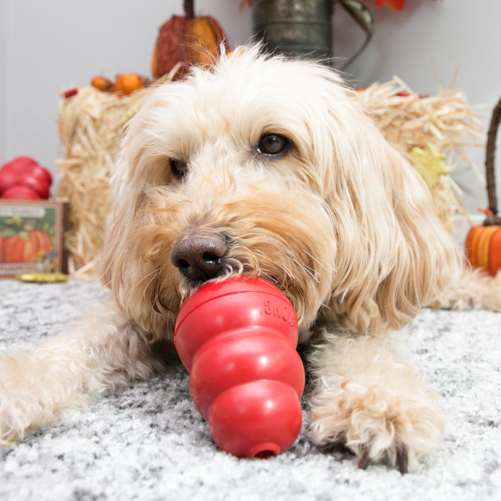KONG® Classic Rubber Dog Toy for Average Chewers, Large, for Dogs Between 30-65 lbs